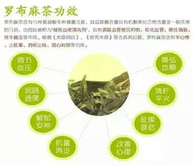 市面上销售的降压茶罗布麻茶是保健食品吗